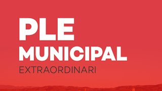 Ple Municipal de l'Ajuntament de Camarles