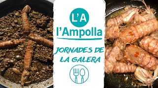 JORNADES GALERA I L'AMPOLLA I DELTA DE L'EBRE l RESTAURANT SOL