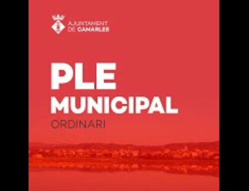 Ple Municipal de Camarles de 31 d’octubre de 2022