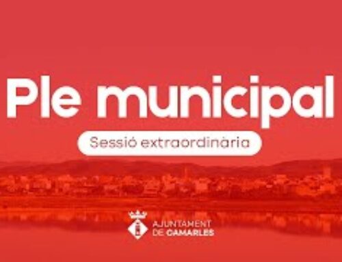 Ple Municipal de 6 de juliol de 2023