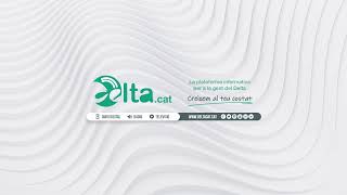 Emissió en directe de Delta.cat