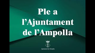 Ple Extraordinari 28 de Desembre 2023