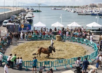 Centenars de veïns i visitants s’han acostat a viure la Festa de la Sega de l’Ampolla