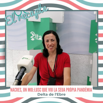 Nacres, un mol·lusc mediterrani que viu des del 2016 la seva pròpia pandèmia amb Patrícia Prado