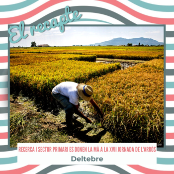 Recerca i sector primari es donen la mà a la XVII jornada de l’arròs amb Maite Martínez