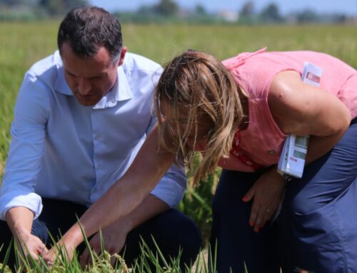 Ordeig exhorta els arrossaires del Delta a innovar tecnològicament per garantir la viabilitat de les seves explotacions