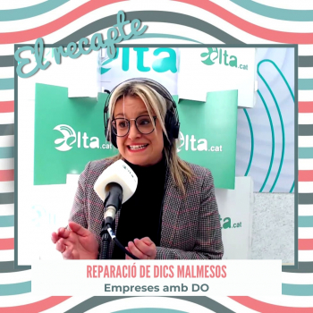 EMPRESES AMB DO. Construccions Queral de Camarles