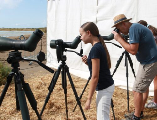 El Delta Birding Festival es consolida com un referent internacional de l’ornitologia en la desena edició