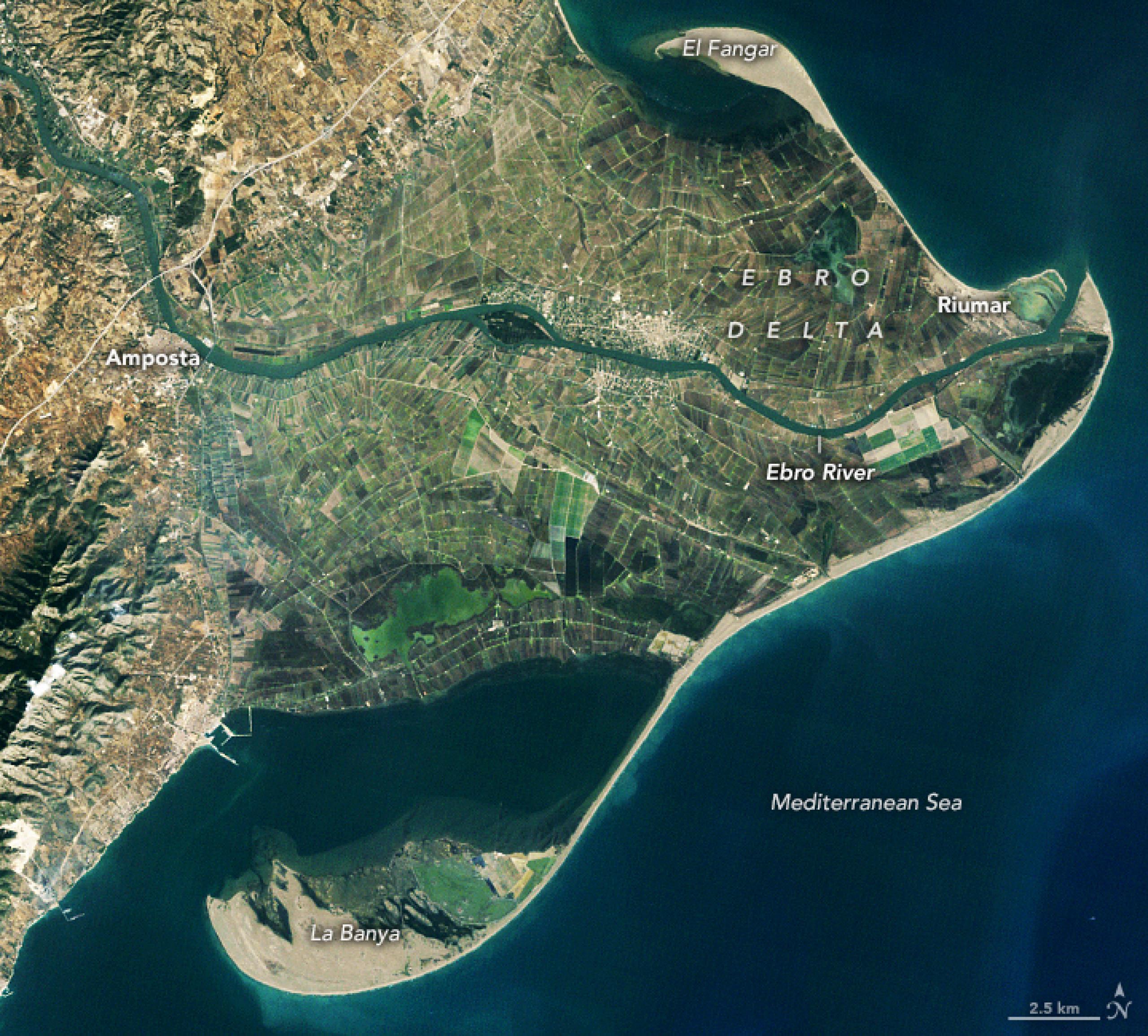 Delta de l'Ebre 1984 NASA