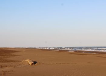 Sant Jaume d’Enveja ajorna per la pluja la neteja de platges i del passeig fluvial