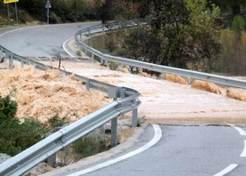 Els xàfecs a les comarques del terç sud es van desplaçant cap a Ponent, Priorat i la Ribera d’Ebre