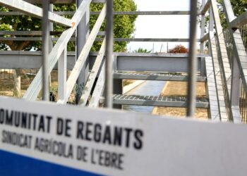 La Federació de Regants de la conca de l’Ebre rebutja reduir les dotacions de reg en el quart cicle de planificació