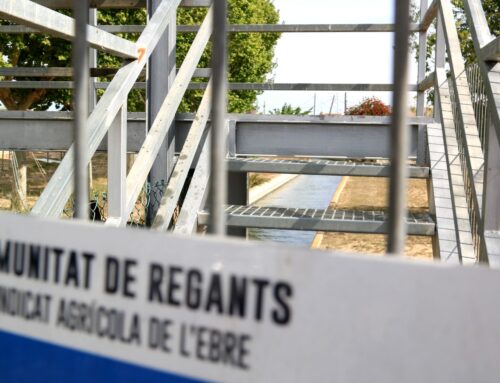 La Federació de Regants de la conca de l’Ebre rebutja reduir les dotacions de reg en el quart cicle de planificació