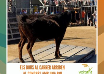 Els bous al carrer arriben al Congrés amb una PNL