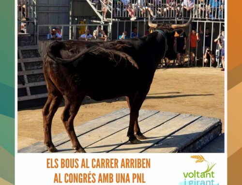 Els bous al carrer arriben al Congrés amb una PNL