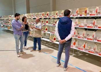 Deltebre acull esta setmana el 2n Campionat ornitològic Terres de l’Ebre i del Sénia