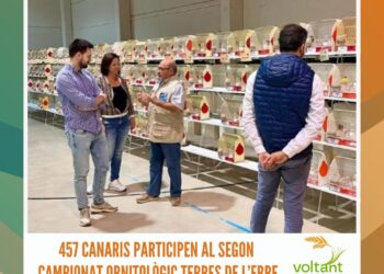 457 canaris participen al Segon Campionat Ornitològic Terres de l’Ebre