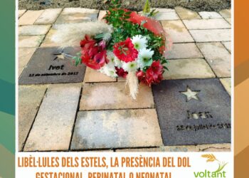 Libèl·lules dels Estels, la presència del dol gestacional, perinatal o neonatal