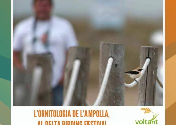 L’ornitologia de l’Ampolla, al Delta Birding Festival