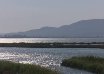 El Parc Natural del Delta, afectat també per les pèrdues d’aigua