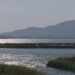 El Parc Natural del Delta, afectat també per les pèrdues d’aigua