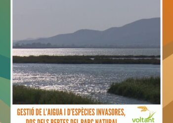 Gestió de l’aigua i d’espècies invasores, dos dels reptes del Parc Natural