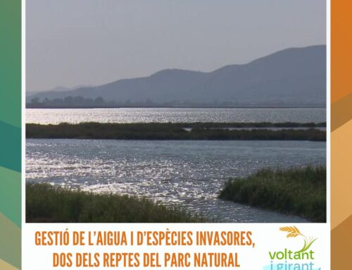 Gestió de l’aigua i d’espècies invasores, dos dels reptes del Parc Natural