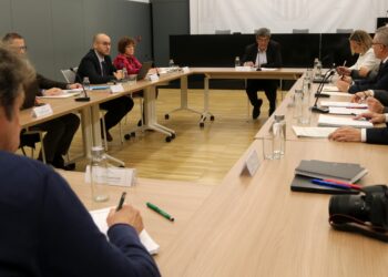 Gonell adverteix que l’Estratègia Delta necessita l’aprovació dels pressupostos