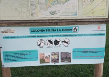 Camarles inicia la gestió del control de les colònies felines urbanes