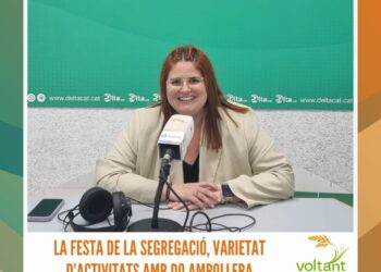 Paellada Cultural, una proposta de l’espai Obrador amb Roberto Olivan