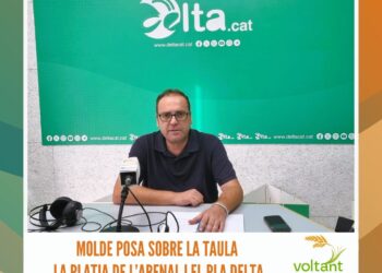 MOLDE posa sobre la taula la platja de l’Arenal i el Pla Delta