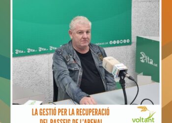 La gestió per la recuperació del passeig de l’Arenal