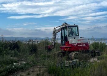 L’Ajuntament de l’Ampolla respon a la denúncia  del GEPEC-EdC sobre la llacuna de les Olles del Delta