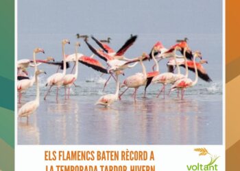 Teatre i solidaritat, a la II gala benèfica Cultura per a la Cura