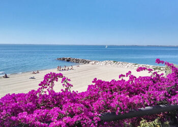 L’Ampolla aposta per la millora dels espais verds urbans