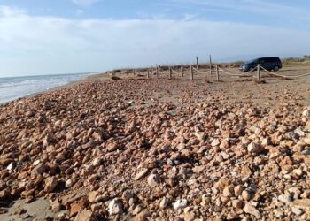 Teresa Solsona: “De platja gairebé no en queda i qualsevol llevantada la redueix”