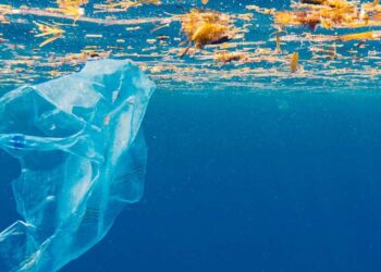 Deltebre i Sant Jaume d’Enveja se sumen a la campanya “La mar comença aquí”