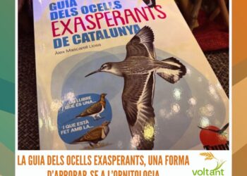 Les espècies de bolets a Camarles i l’Ampolla, de la mà de Bitxac