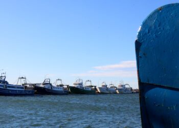 La pesca marítima cau a la meitat en una dècada i les embarcacions se situen per sota de les 600