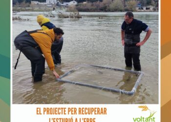 Voltant i Girant (16-12-2024)