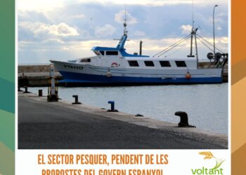 Francesc Arasa: “Són els pressupostos més alts dels últims anys”