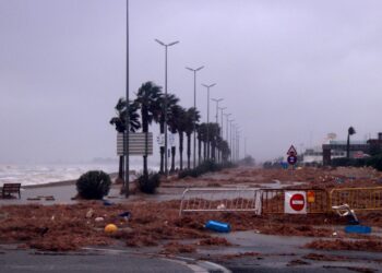 Els experts aposten per protegir el litoral combinant solucions naturals amb infraestructures de formigó