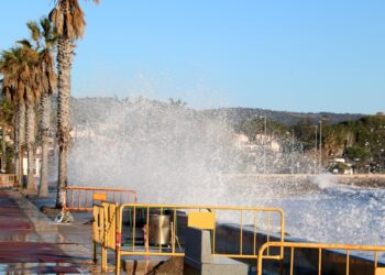 Cinc anys després del temporal Gloria al delta de l’Ebre