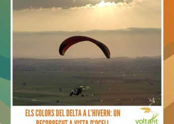 Situació i prevenció de la grip i la covid al nostre territori