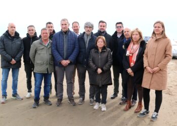 La Taula de Consens alerta que la situació “és igual o pitjor” al Delta que abans del Gloria