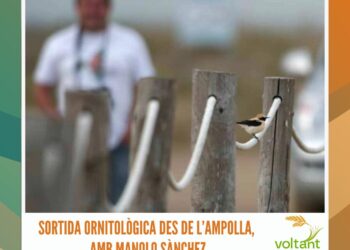 Sortida ornitològica des de l’Ampolla, amb Manolo Sànchez