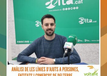 Anàlisi de les línies d’ajuts a persones, entitats i comerços de Deltebre