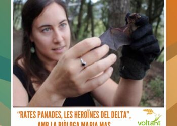 El passat, present i futur del Centre d’Interpretació de l’Arròs