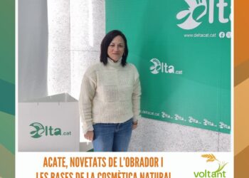 Sílvia Reverté, premi SEDENE a l’excel·lència en la investigació