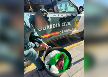 La Guàrdia Civil retira una tonyina roja sense traçabilitat demostrada d’una pescateria de l’Ampolla